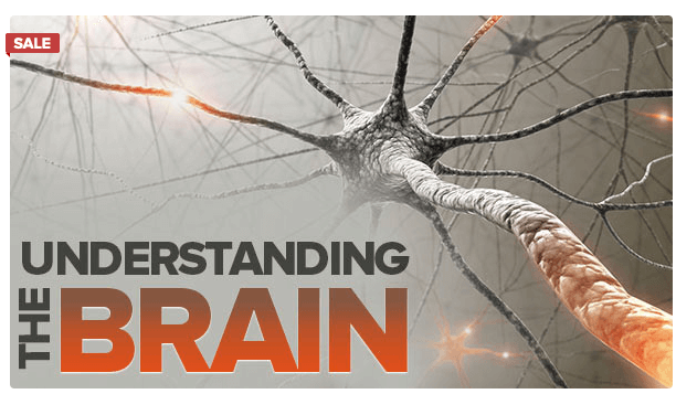 Understanding the Brain