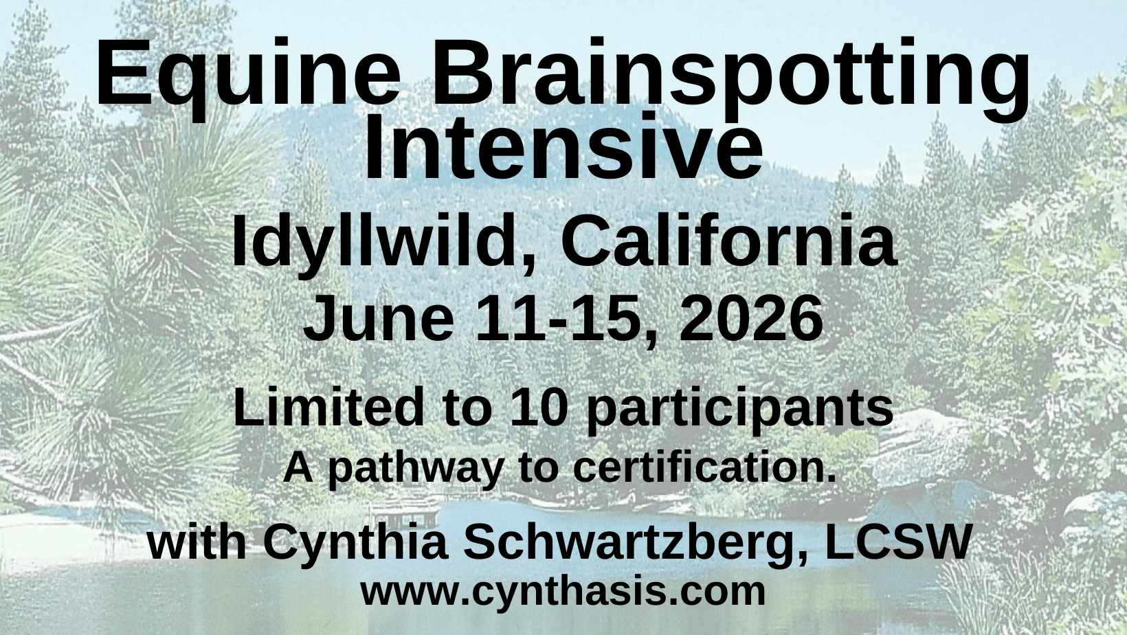 Intensive Equine (2)