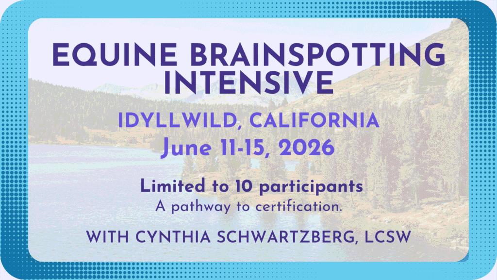 Equine Brainspotting Intensive