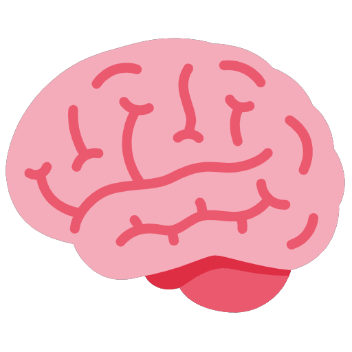 brain icon